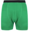 Thumbnail Green boxer briefs with black waistband, front view.